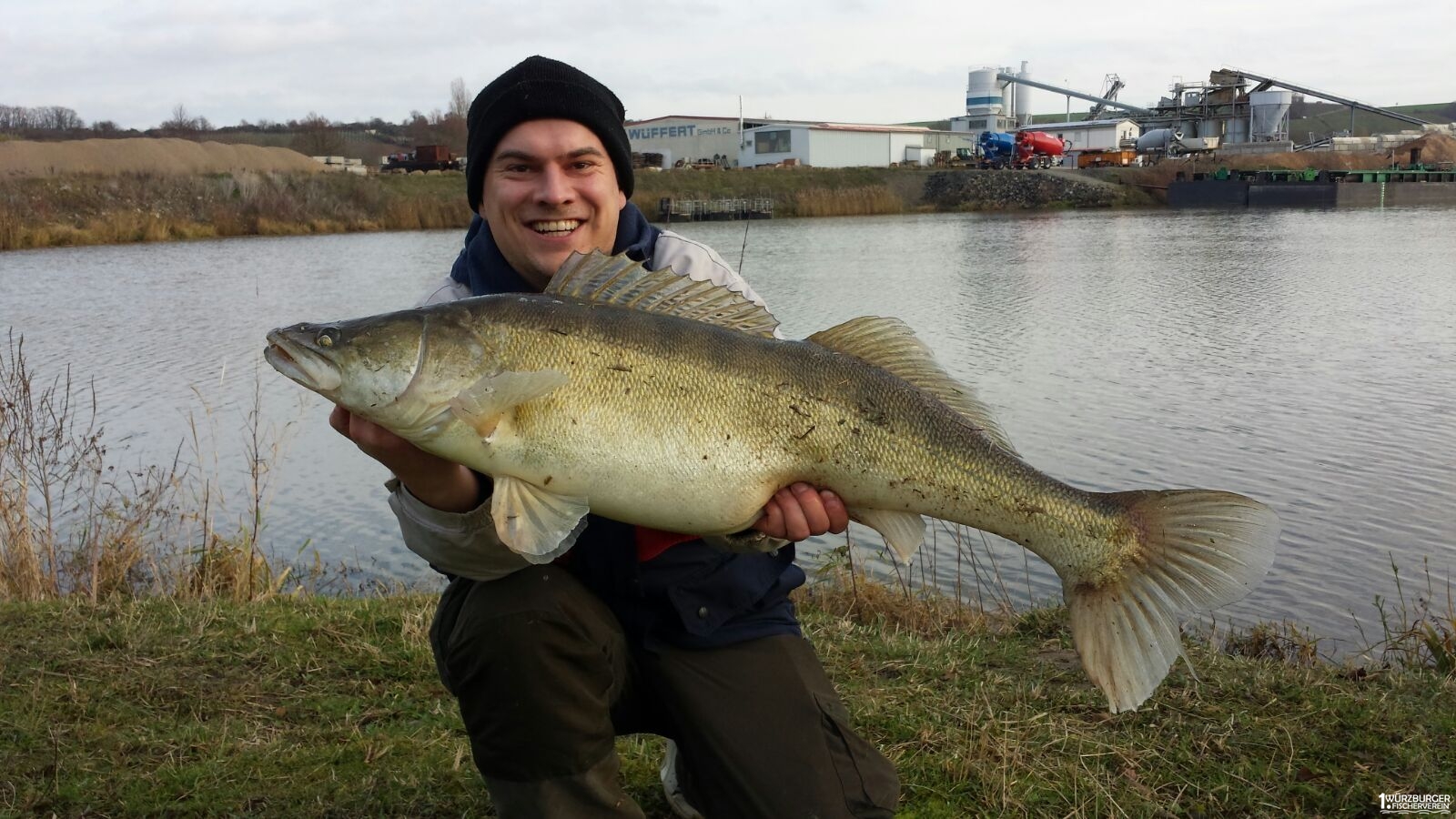 Zander